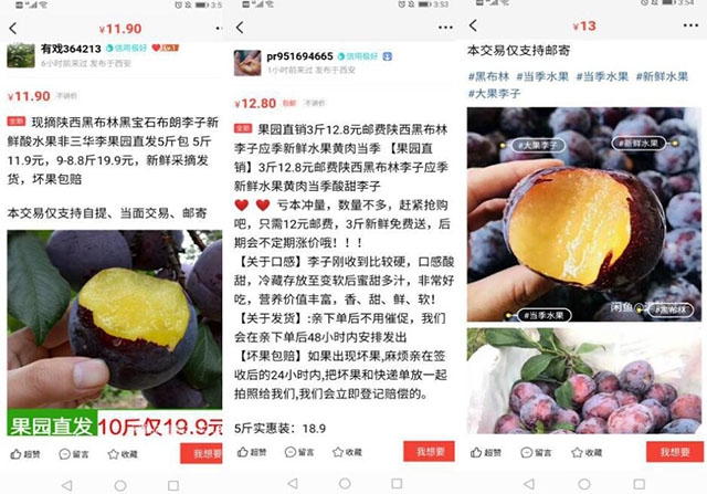 實(shí)操分享：小白輕松月入10000+的閑魚玩法 流量 網(wǎng)賺 電子商務(wù) 經(jīng)驗(yàn)心得 第2張