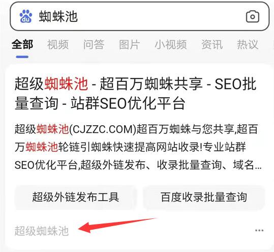 超級蜘蛛池網(wǎng)站域名也被替換成網(wǎng)站品牌名顯示