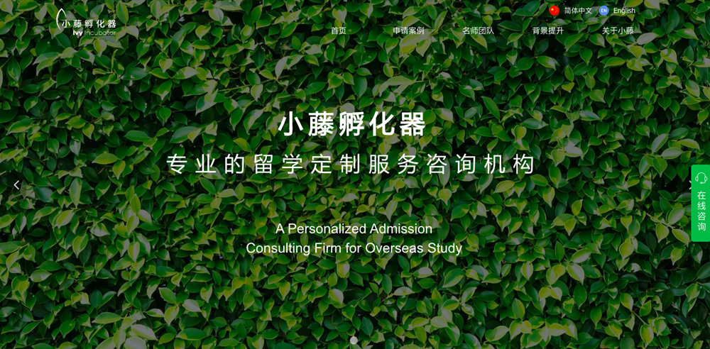 圖為小藤孵化器搭建的網(wǎng)站