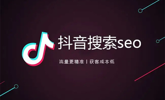 抖音搜索SEO：一個(gè)新的免費(fèi)流量入口紅利期